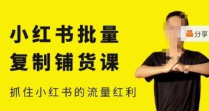 张宾·小红书批量复制铺货课，小红书0-1快速起号变现玩法，抓住小红书的流量红利（更新2023年3月）-乌龙学社
