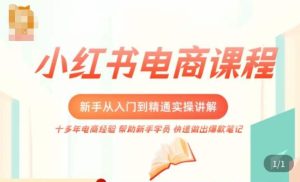 小红书电商新手入门到精通实操课，从入门到精通做爆款笔记，开店运营-乌龙学社