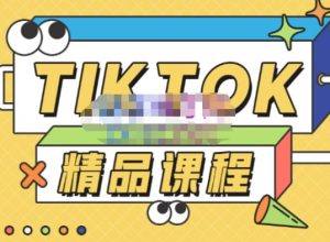 电商孵化中心·TikTok精品课程，教你玩转海外抖音，低成本创业，带您从0开始玩转TikTok-乌龙学社