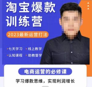 爱上黄昏·淘宝爆款训练营，2023最新运营打法，学习爆款思维，实现利润增长-乌龙学社