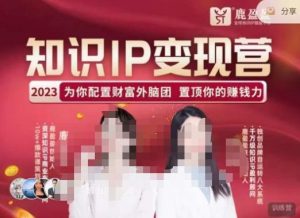 鹿盈盈-知识IP变现实操营,普通人可复制的知识产品落地实操课,带你打通知识IP变现底层逻辑-乌龙学社