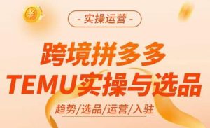 跨境拼多多TEMU实操与选品，​掌握平台运营方法技巧，选品避坑12条标准，爆款的底层思路等-乌龙学社