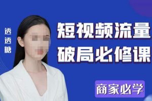 2023最新透糖短视频流量破局必修课——商家必学-乌龙学社