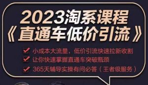 2023直通车低价引流玩法课程，小成本大流量，低价引流快速拉新收割，让你快速掌握直通车突破瓶颈-乌龙学社