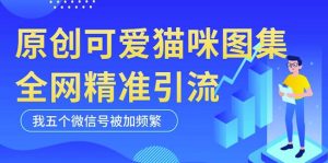 黑科技纯原创可爱猫咪图片，全网精准引流，实操5个VX号被加频繁-乌龙学社