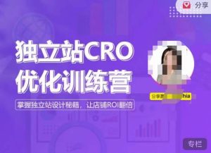 独立站CRO优化训练营，掌握独立站设计秘籍，打造高转化的独立站，让店铺ROI翻倍-乌龙学社