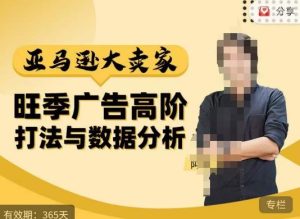 阿甘·亚马逊大卖家广告高阶打法与数据分析，走出传统广告误区；揭秘大卖惯用打法；数据驱动广告决策-乌龙学社