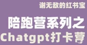 谢无敌ChatGPT打卡营，教你更好地使用ChatGPT来提高工作效率-乌龙学社