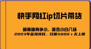 2023爆火的快手网红IP切片，号称日佣5000＋的蓝海项目，二驴的独家授权-乌龙学社