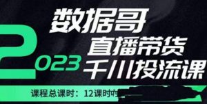 数据哥2023直播电商巨量千川付费投流实操课，快速掌握直播带货运营投放策略-乌龙学社