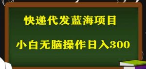2023最新蓝海快递代发项目，小白零成本照抄也能日入300+-乌龙学社