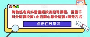 峰教练电商抖音直播投流起号课程：巨量千川全流程投放+小店随心推全流程+起号方式-乌龙学社