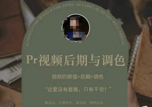 Pr视频后期与调色，视频颜值=后期+调色，这里没有套路，只有干货！-乌龙学社