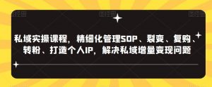 私域实操课程，精细化管理SOP、裂变、复购、转粉、打造个人IP，解决私域增量变现问题-乌龙学社