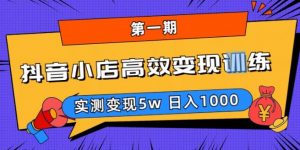 抖音小店高效变现训练营（第一期）,实测变现5w，日入1000【揭秘】-乌龙学社