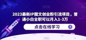 2023最新IP图文创业粉引流项目，普通小白全职可以月入1-3万-乌龙学社