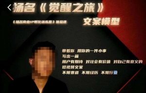 王扬名·《觉醒之旅》文案模型，​带着你用你的一件小事，对自己有意义的短视频文案-乌龙学社