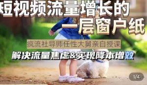 任性大舅·宠物行业短视频运营课(不讲废话)，短视频流量增长的一层窗户纸，解决流量焦虑&实现降本增效-乌龙学社