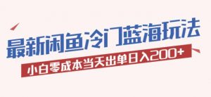 2023最新闲鱼冷门蓝海玩法，小白零成本当天出单日入200+【揭秘】-乌龙学社