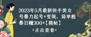 2023年5月最新快手美女号暴力起号+变现，简单粗暴日赚300+【揭秘】-乌龙学社