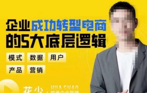 企业成功转型电商的5大底层逻辑，从模式、数据、用户、产品、营销5大板块，助你高效转型电商赛道-乌龙学社