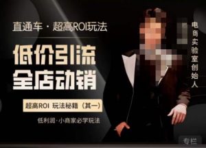电商冰可乐·直通车·《低价引流·全店动销》，直通车·超高ROI玩法（其一）全店动销必学玩法-乌龙学社