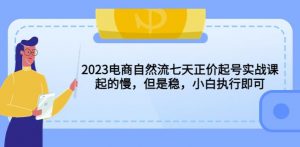 2023电商自然流七天正价起号实战课：起的慢，但是稳，小白执行即可！-乌龙学社