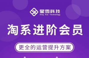 星雪·淘系进阶课程，快速提升突破技能流量瓶颈必备（更新2023年5月）-乌龙学社