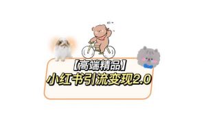 小红书最新引流变现教程，全网最新最详细的视频教程以及素材-乌龙学社