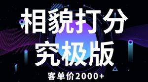 相貌打分究极版，客单价2000+纯新手小白就可操作的项目-乌龙学社
