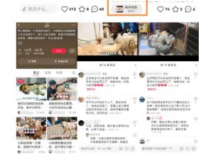 小红书蓝海类赛道：小动物打赏与购买变现副业项目，一条龙玩法分享给你！-乌龙学社