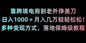 靠跨境电商割老外挣美刀，日入1000＋月入几万轻轻松松！多种变现方式，落地保姆级教程【揭秘】-乌龙学社