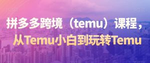 拼多多跨境（temu）课程，从Temu小白到玩转Temu-乌龙学社
