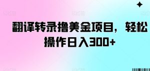 翻译转录撸美金项目，轻松操作日入300+【揭秘】-乌龙学社