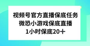 视频号直播任务,微恐小游戏,1小时20+【揭秘】-乌龙学社
