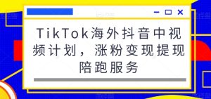 TikTok海外抖音中视频计划,涨粉变现提现陪跑服务-乌龙学社