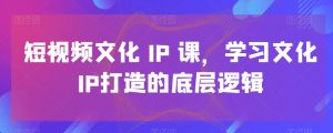 短视频文化IP课，学习文化IP打造的底层逻辑-乌龙学社