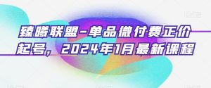 臻曦联盟-单品微付费正价起号，2024年1月最新课程-乌龙学社
