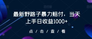 最新野路子暴力赔付，当天上手日收益1000+【仅揭秘】-乌龙学社