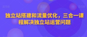 独立站搭建和流量优化，三合一课程解决独立站运营问题-乌龙学社