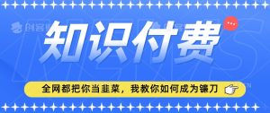 2024最新知识付费项目，小白也能轻松入局，全网都在教你做项目，我教你做镰刀【揭秘】-乌龙学社