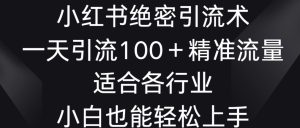 小红书绝密引流术，一天引流100+精准流量，适合各个行业，小白也能轻松上手【揭秘】-乌龙学社