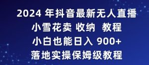 2024年抖音最新无人直播小雪花卖收纳教程，小白也能日入900+落地实操保姆级教程【揭秘】-乌龙学社