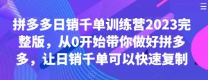 拼多多日销千单训练营2023完整版，从0开始带你做好拼多多，让日销千单可以快速复制-乌龙学社