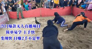 冷门爆款无人直播项目，简单易学上手快，变现快日赚2千不是梦【揭秘】-乌龙学社