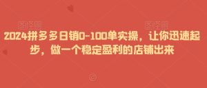 2024拼多多日销0-100单实操，让你迅速起步，做一个稳定盈利的店铺出来-乌龙学社