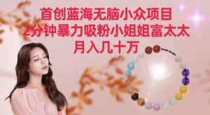 首创蓝海无脑小众项目，2分钟暴力吸粉小姐姐富太太，月入几十万【揭秘】-乌龙学社