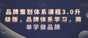 品牌策划体系课程3.0升级版，品牌体系学习，简单学做品牌-乌龙学社