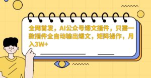 全网首发，AI公众号爆文插件，只需一款插件全自动输出爆文，矩阵操作，月入3W+【揭秘】-乌龙学社