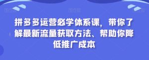 拼多多运营必学体系课，带你了解最新流量获取方法、帮助你降低推广成本-乌龙学社
